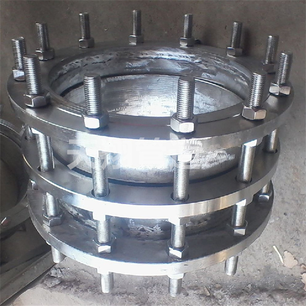 �L�����P���s���^